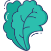 039-lettuce